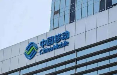 軟件開發項目中標候選人變更之謎 報價調整背后的合規性與行業思考